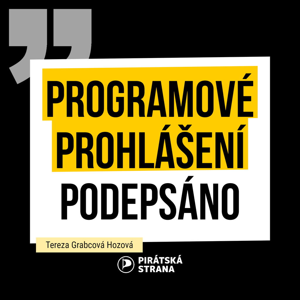 programové prohlášení